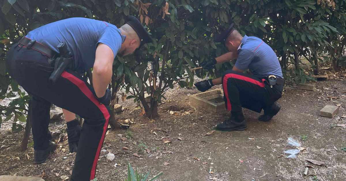 Roma: controlli anti‑droga dei Carabinieri, 23 arresti e sequestri per oltre 9 kg di stupefacenti