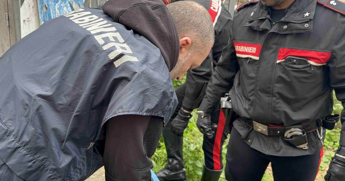 Procura di Roma e Carabinieri insieme contro lo spaccio: 20 arresti tra Ostia, Casal Bruciato e Centocelle